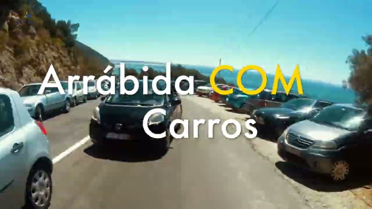Lecteur vidéo YouTube