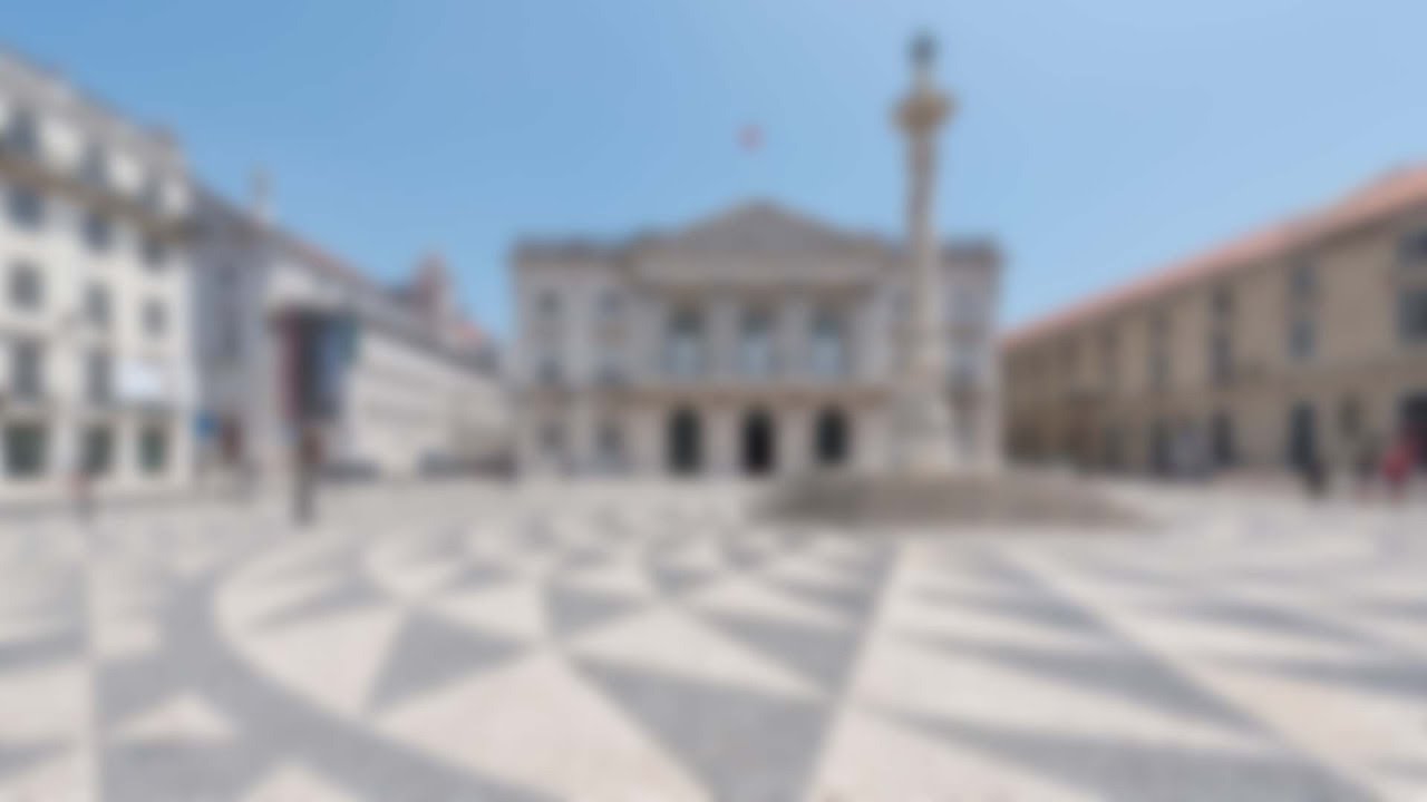 Reunião Pública da Câmara Municipal de Lisboa - 24/02/2021