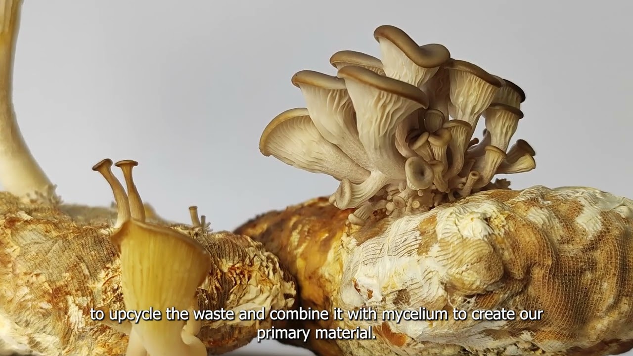 Urban MYCOskin