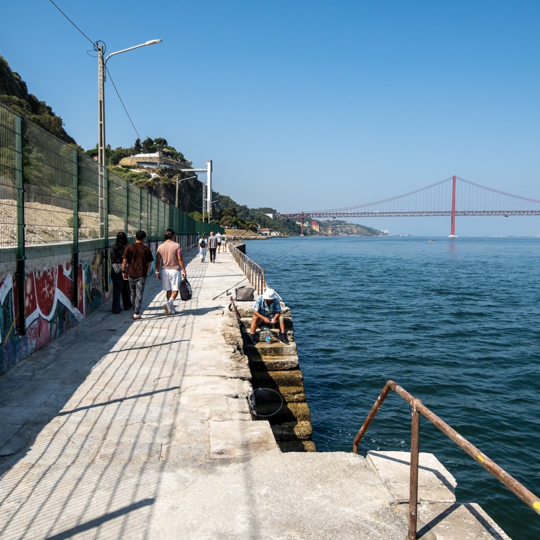 caisginjalreaberto_01